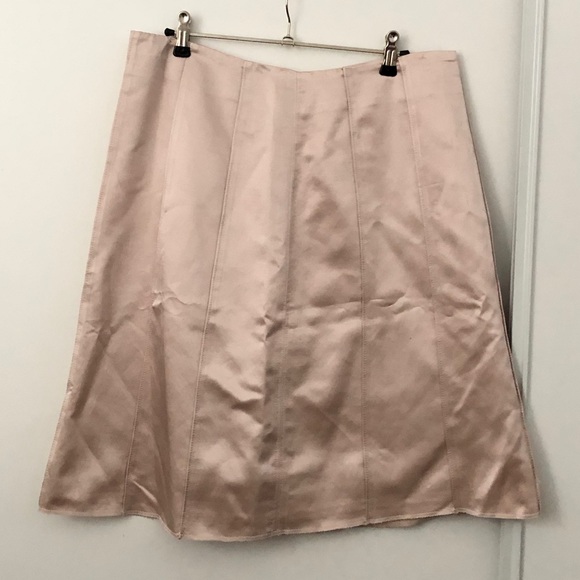Chaiken Pastel Pink A-Line Silk Skirt - Picture 2 of 10
